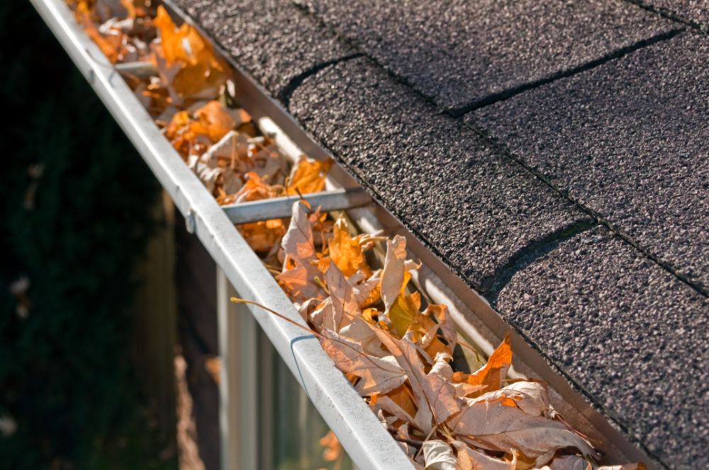 Benefits of Regular Gutter Cleaning