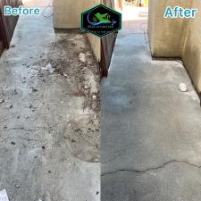 Trash Bin and Concrete Cleaning 0