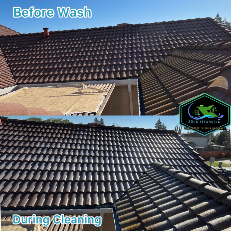 Roof Cleaning in Tracy, CA